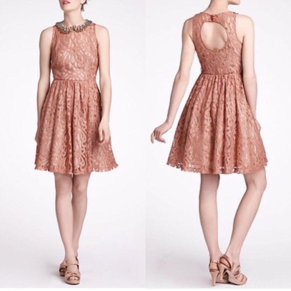 Anthro Plenty by Tracy Reese Lace Dress size 4
